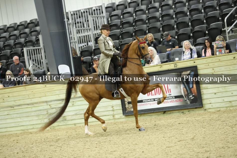 Proof 24BUCK_02947