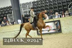 24BUCK_02947 proof