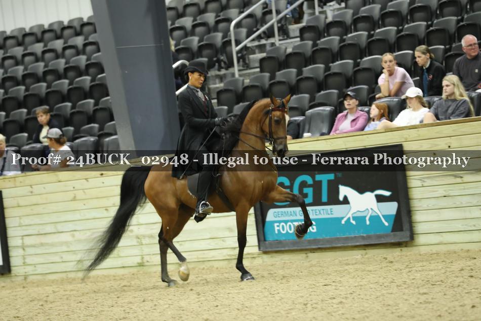 Proof 24BUCK_02948