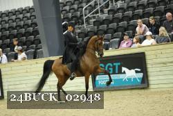 24BUCK_02948 proof