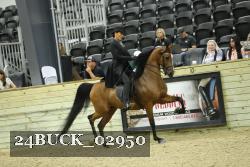 24BUCK_02950 proof