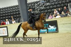 24BUCK_02951 proof