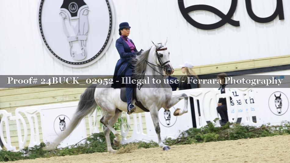 Proof 24BUCK_02952