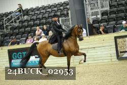 24BUCK_02953 proof