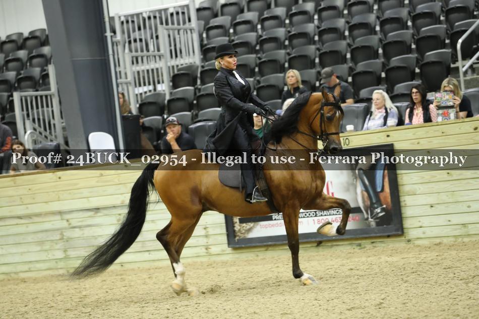 Proof 24BUCK_02954
