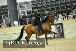24BUCK_02954 proof