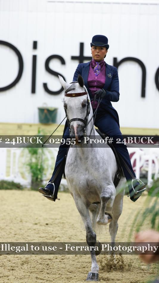 Proof 24BUCK_02955