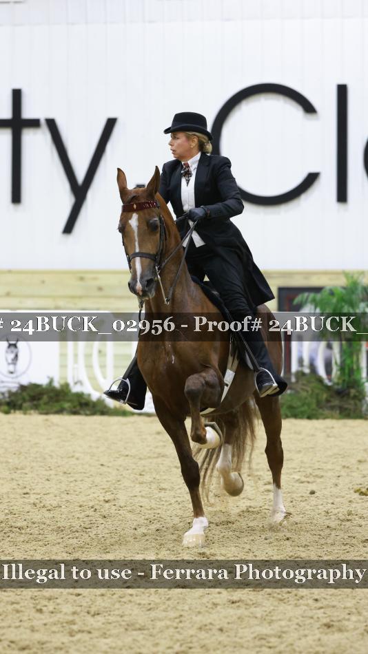 Proof 24BUCK_02956