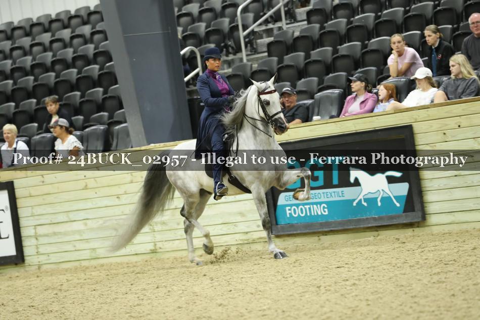 Proof 24BUCK_02957
