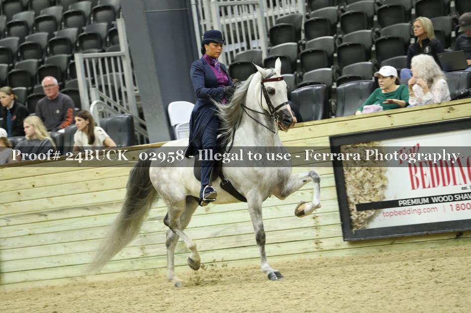 Proof 24BUCK_02958