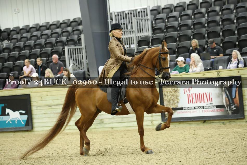 Proof 24BUCK_02960
