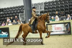 24BUCK_02960 proof