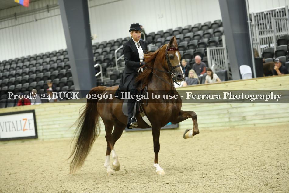Proof 24BUCK_02961