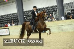 24BUCK_02961 proof