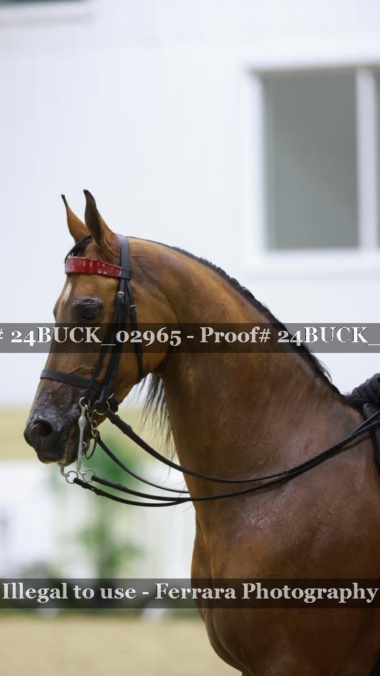 Proof 24BUCK_02965