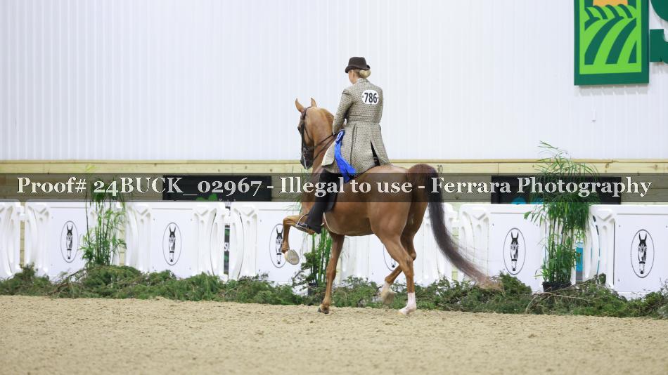 Proof 24BUCK_02967