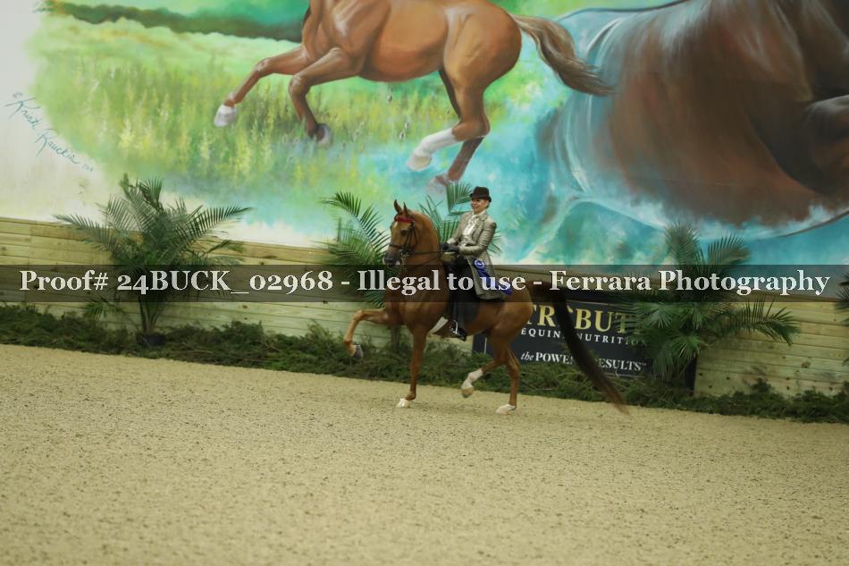 Proof 24BUCK_02968