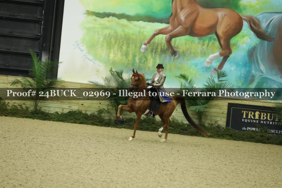 Proof 24BUCK_02969