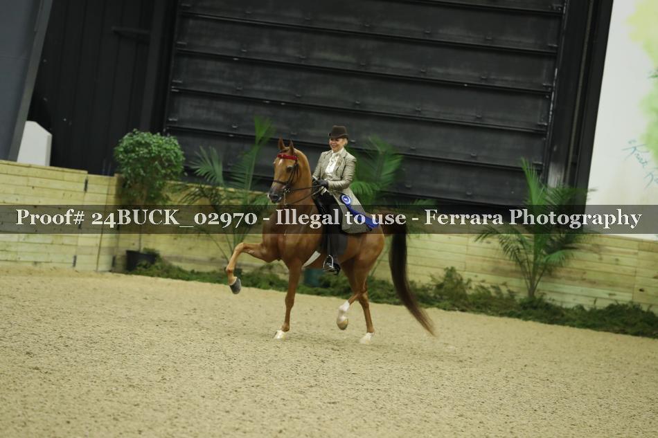Proof 24BUCK_02970