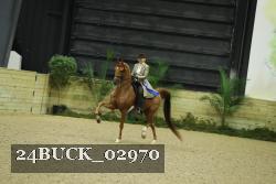 24BUCK_02970 proof