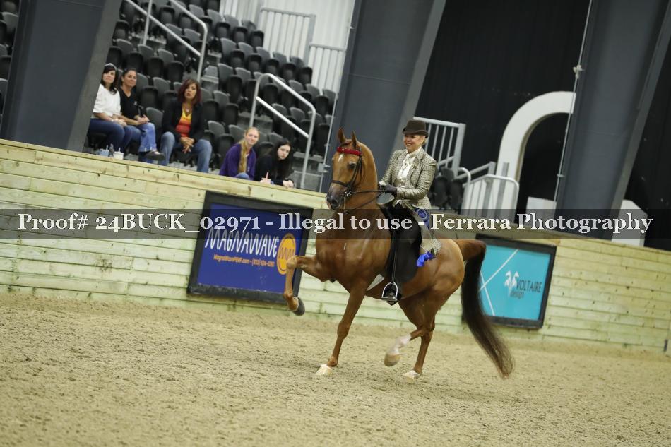 Proof 24BUCK_02971