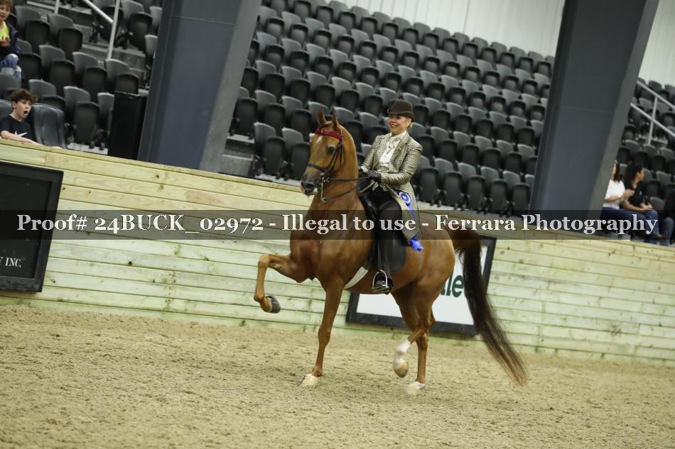 Proof 24BUCK_02972