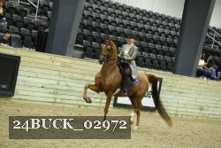 24BUCK_02972 proof