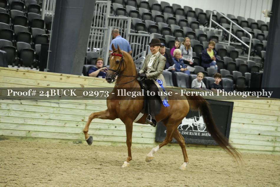 Proof 24BUCK_02973