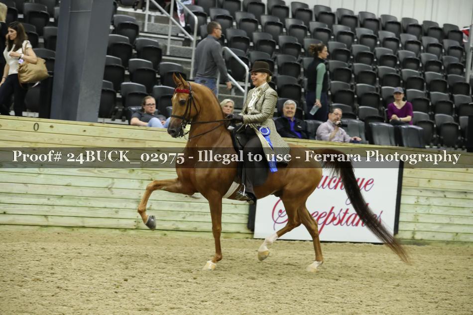 Proof 24BUCK_02975
