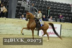 24BUCK_02975 proof