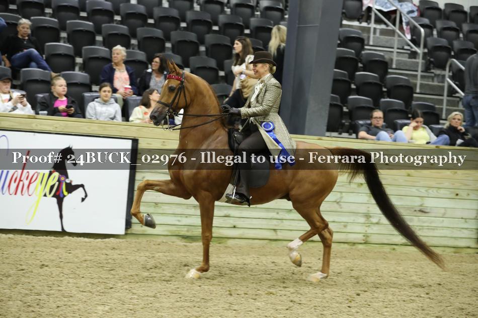 Proof 24BUCK_02976