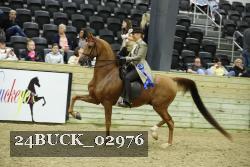 24BUCK_02976 proof