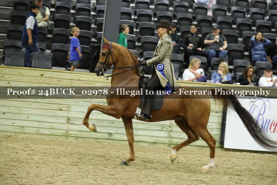 Proof 24BUCK_02978