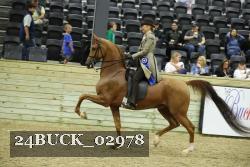 24BUCK_02978 proof