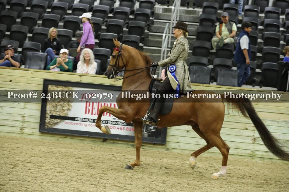 Proof 24BUCK_02979