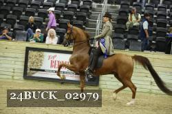 24BUCK_02979 proof
