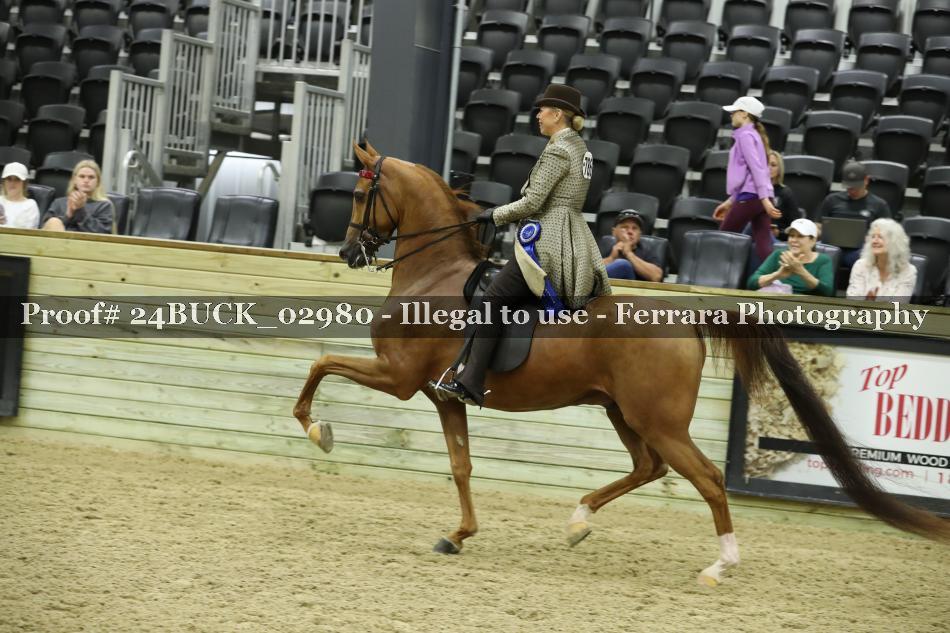 Proof 24BUCK_02980