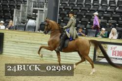 24BUCK_02980 proof