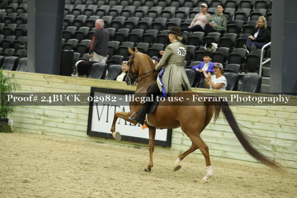 Proof 24BUCK_02982