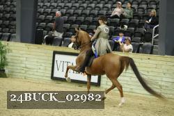 24BUCK_02982 proof