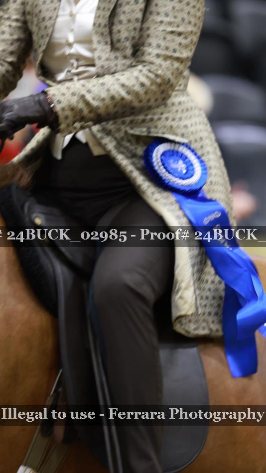 Proof 24BUCK_02985