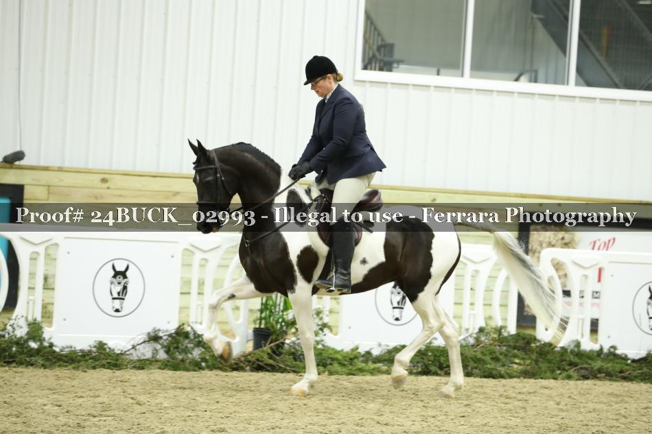 Proof 24BUCK_02993