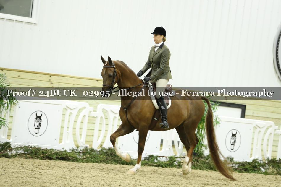 Proof 24BUCK_02995