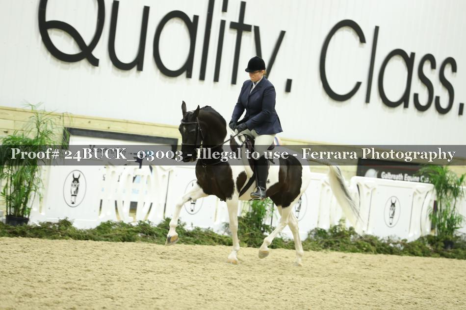 Proof 24BUCK_03003