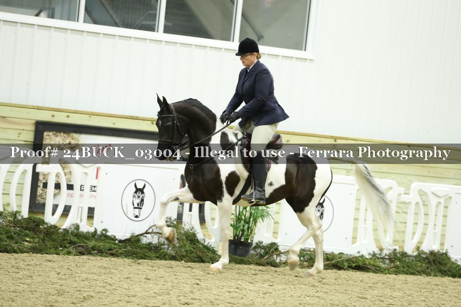 Proof 24BUCK_03004