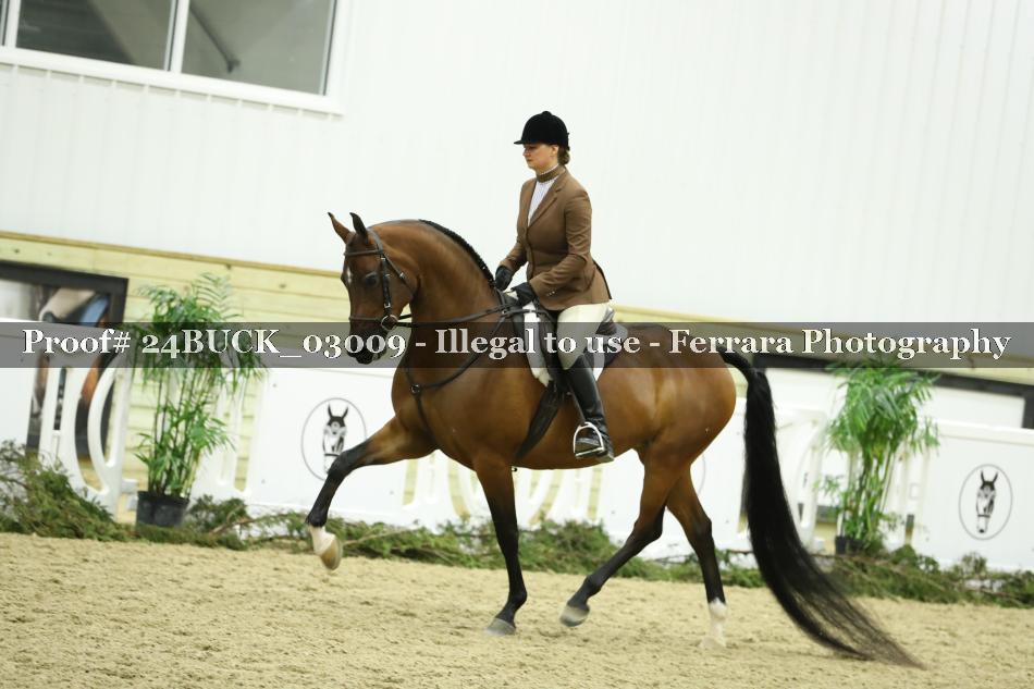 Proof 24BUCK_03009