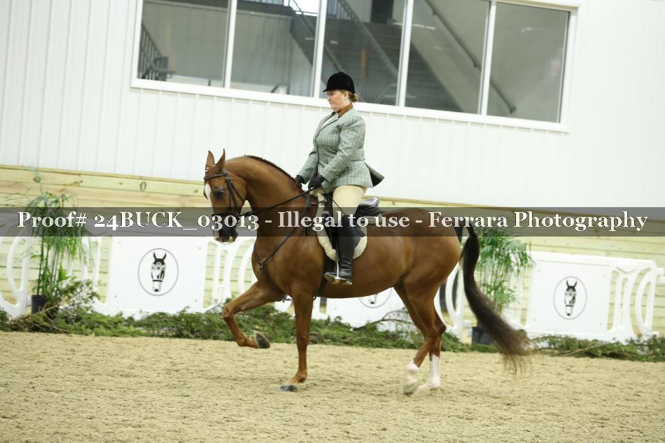Proof 24BUCK_03013