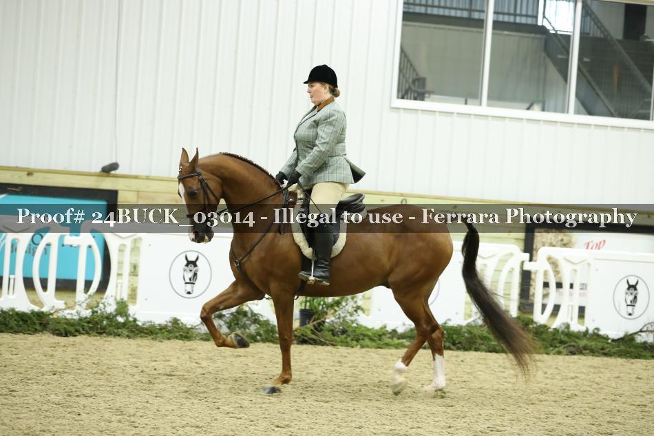 Proof 24BUCK_03014
