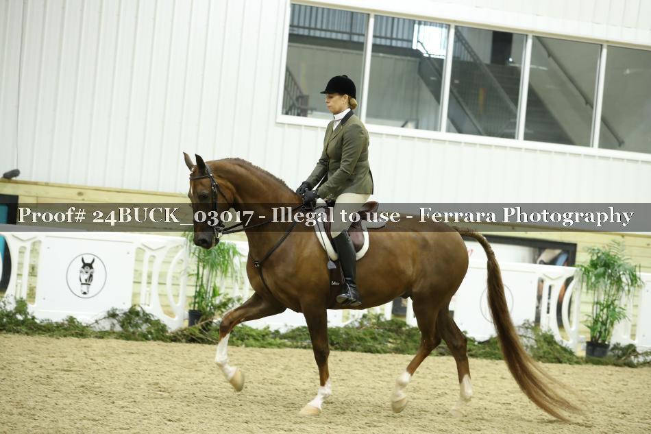 Proof 24BUCK_03017