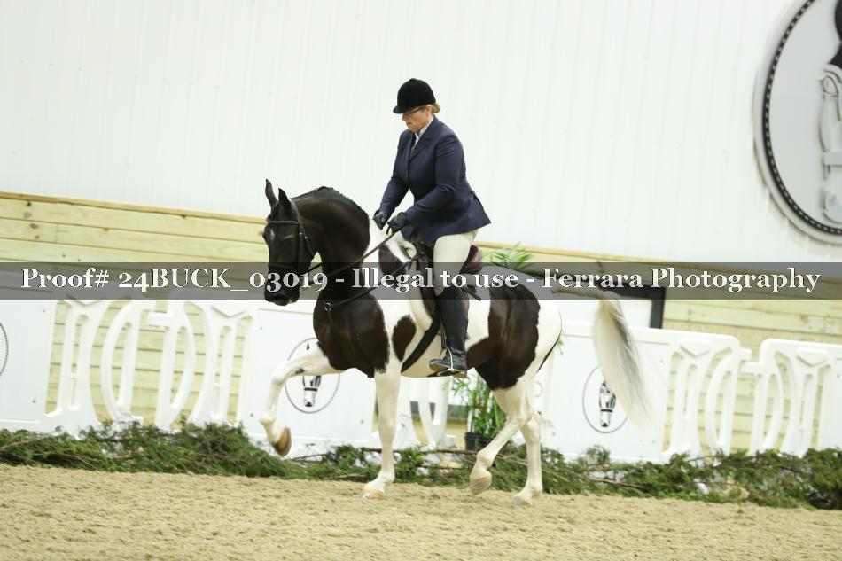 Proof 24BUCK_03019